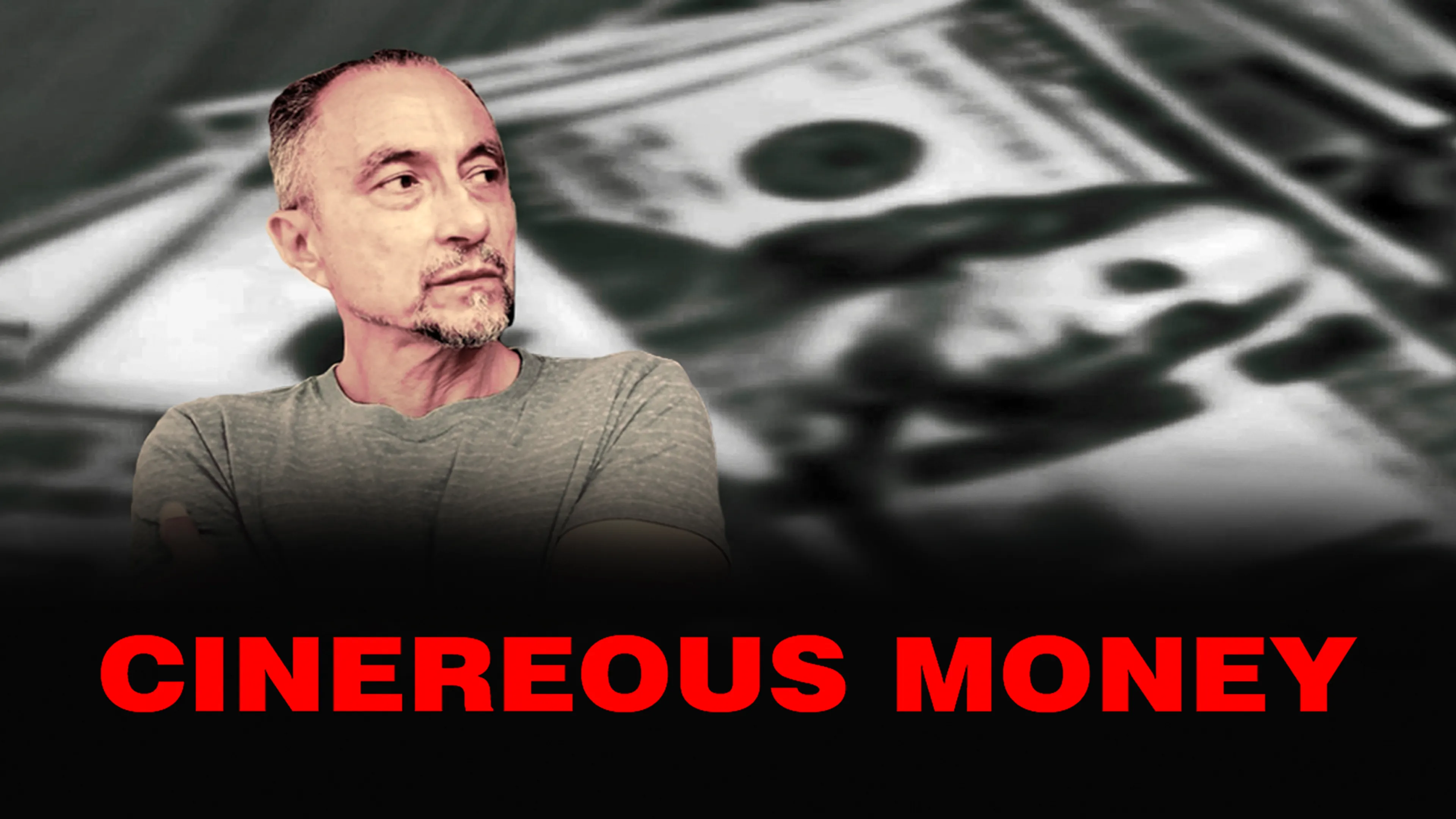 Cinereous Money poster